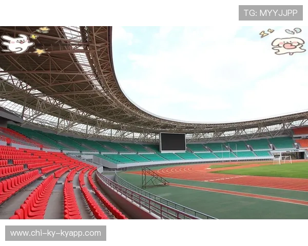 构建城市体育管理政策公开机制的传播内容体系,我国城区体育管理的基本原则